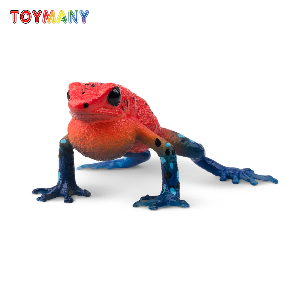Kids Toys Under $5 - Toymany Simulation fraise grenouille Reptile royaume