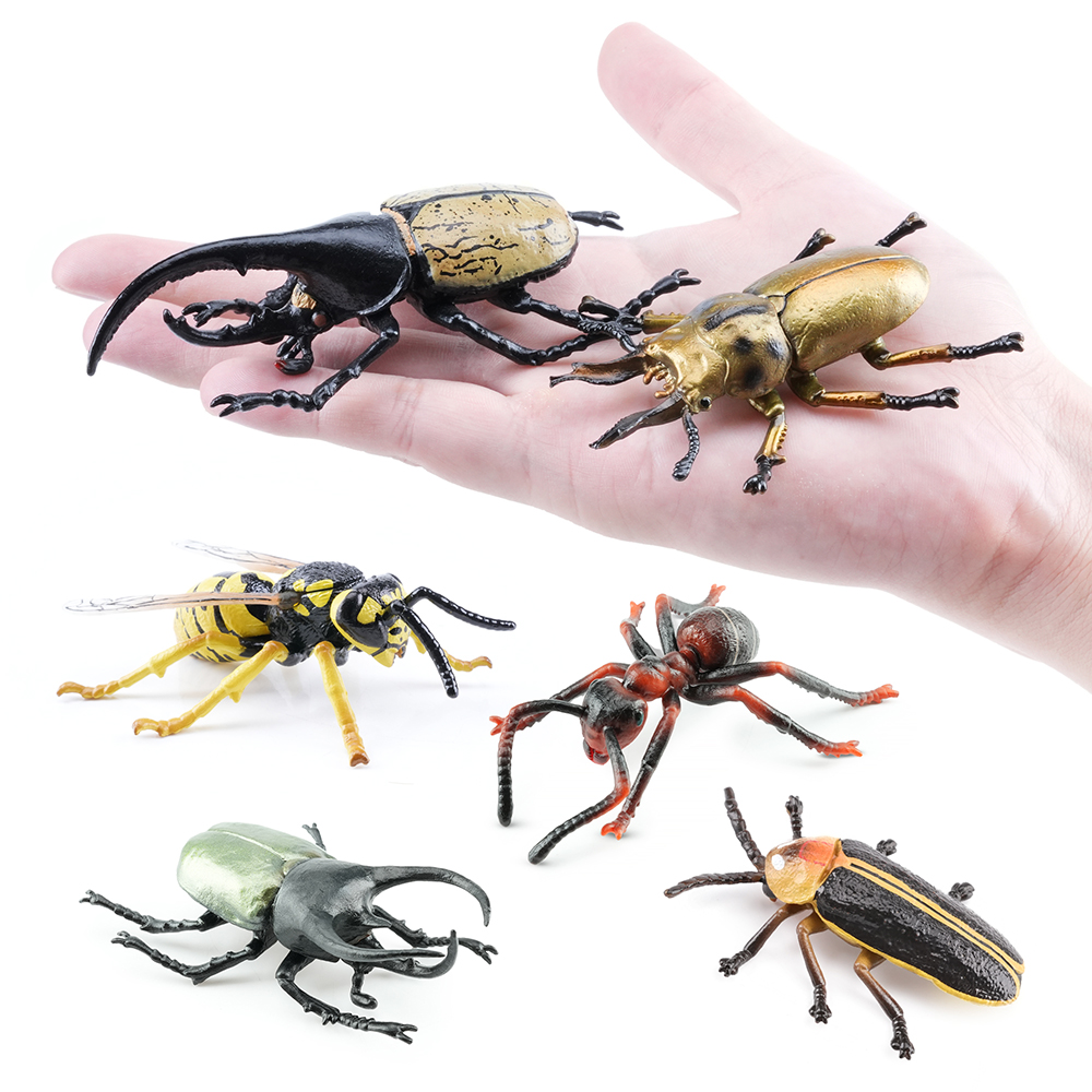 Toymany Simulation insecte et  - Kids Toys Under $5 avis et prix