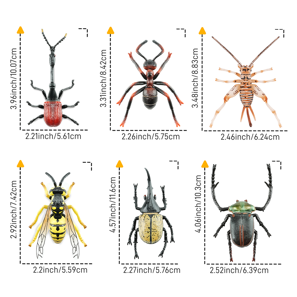 Toymany Simulation insecte et  - Kids Toys Under $5 avis et prix