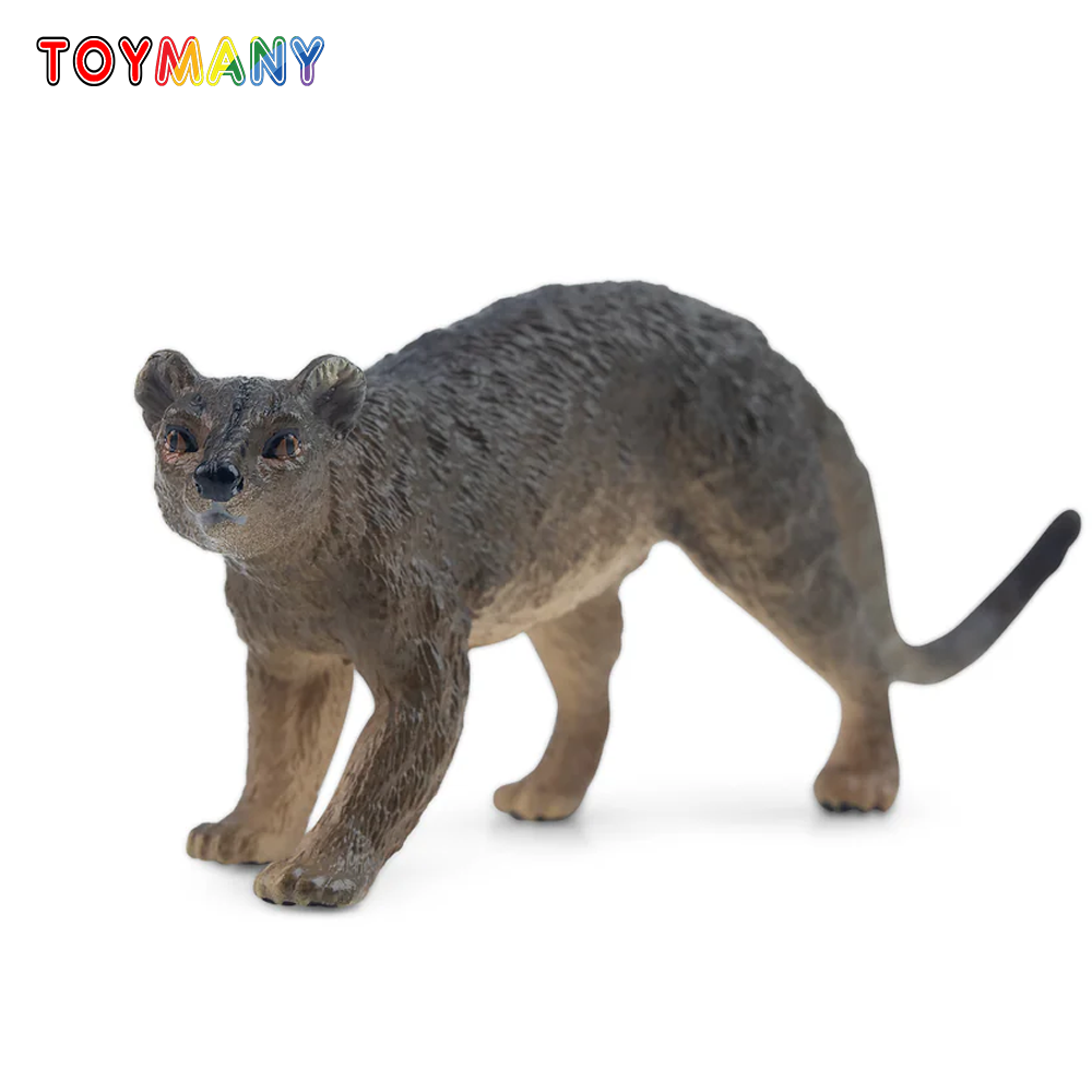 Toymany Simulation Fossa Madag - Kids Toys Under $5 avis et prix