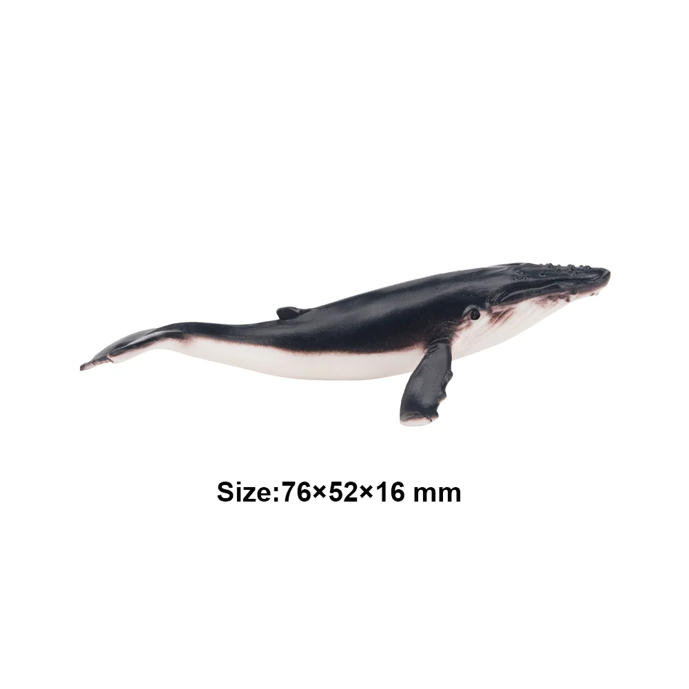 Toymany Simulation baleine à b - Kids Toys Under $5 avis et prix