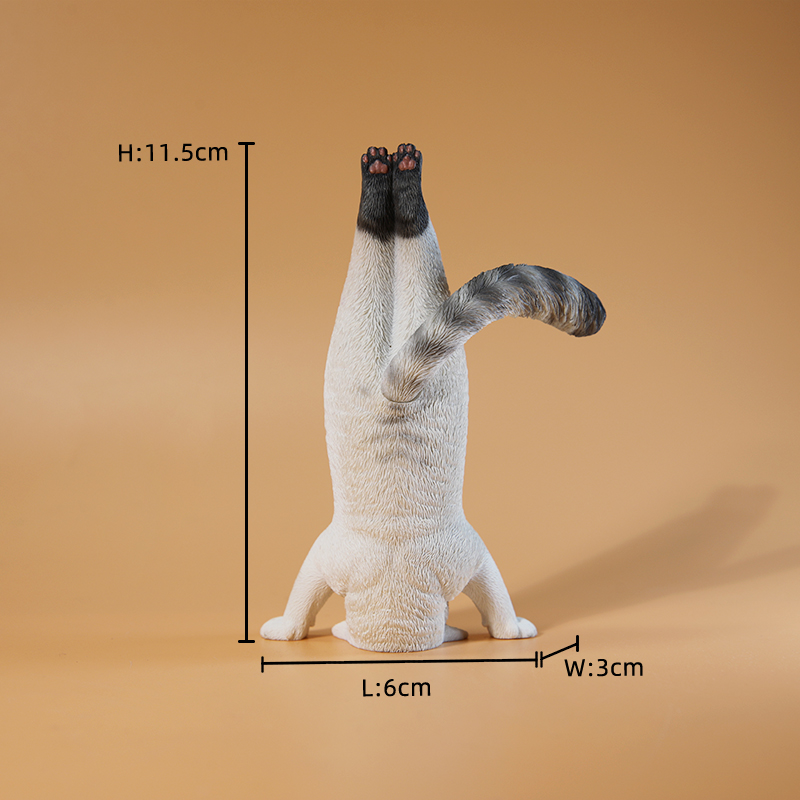 Mini chat de Fitness simulé, é - Kids Yoga Toys avis et prix