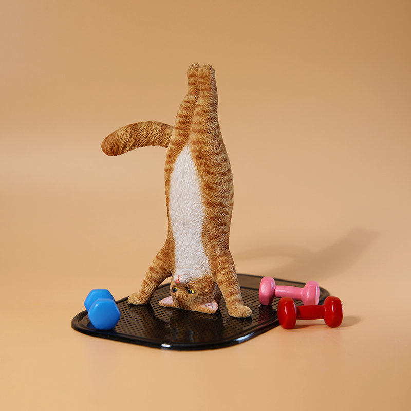 Mini chat de Fitness simulé, é - Kids Yoga Toys avis et prix