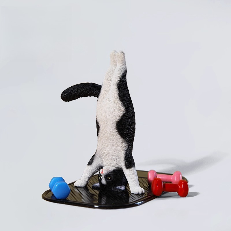Mini chat de Fitness simulé, é - Kids Yoga Toys avis et prix